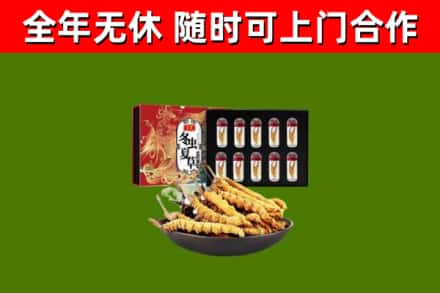 蓬江烟酒回收冬虫夏草礼盒.jpg