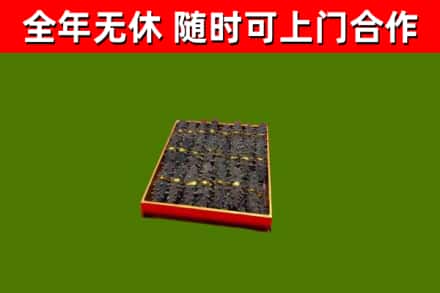 蓬江回收海参